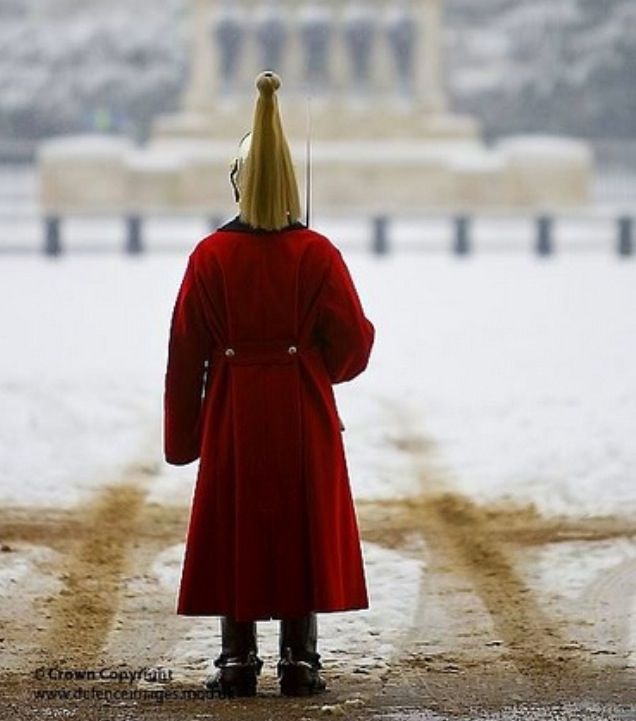 British War Horse Guard Jacket - đánh giá và giá Jacket Winter Clothing